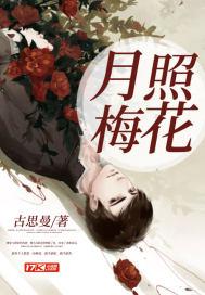 月照花林皆似霰?