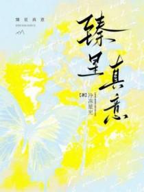 臻星文化传媒执行董事
