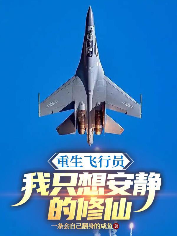 主角重生后成为飞行员的