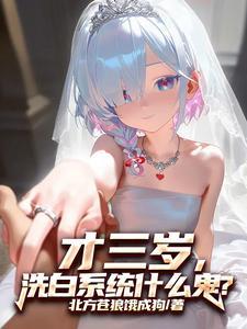 洗白系统什么鬼?txt
