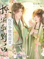 凤髓剧透