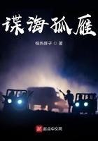谍战剧孤雁剧情介绍