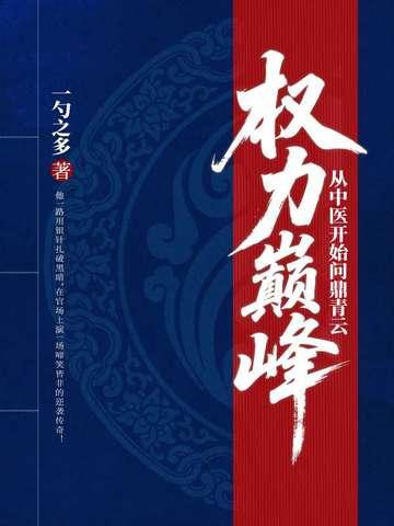 权力巅峰全集