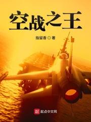 空战之空战王牌笔趣阁