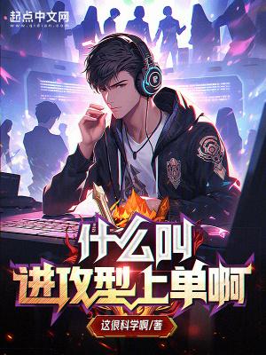 进攻什么意思