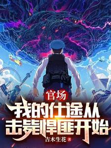 我的官场岁月无弹窗免费