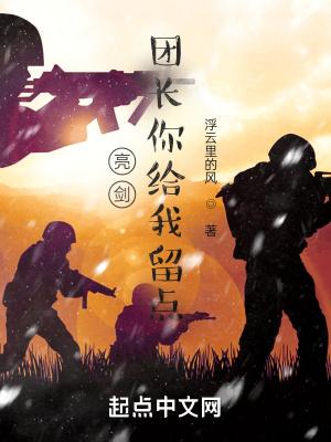 团长和亮剑