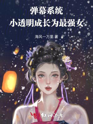 弹幕系列