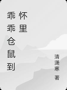 仓鼠笼子