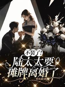 陆太太又闹离婚陆北司