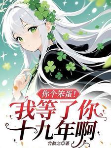 你这个笨蛋怎么回事