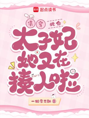 清穿太子妃系统