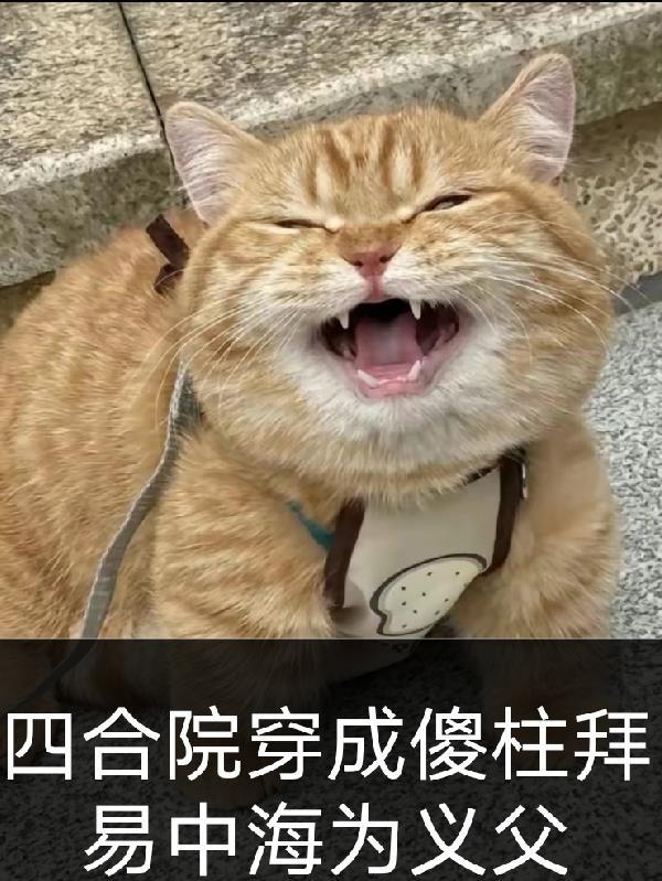 四合院一遇傻柱误终生