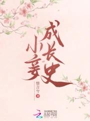 小妾的日常