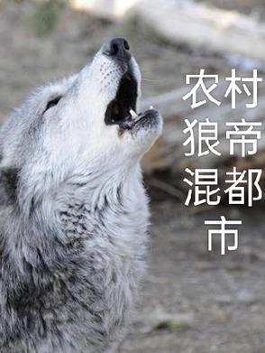 神医农村混都市