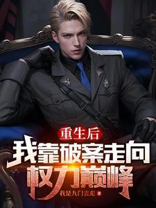 我靠破案走向权力巅峰txt