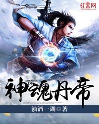 神魂丹帝主角几个老婆