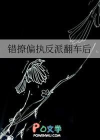 错撩偏执男主后我甩不掉了键盘君