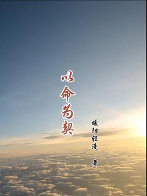 以命相抵什么意思
