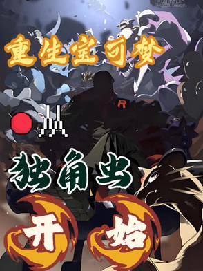 精灵宝可梦重生攻略
