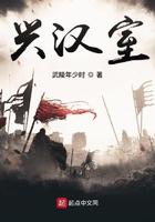 兴汉室TXT