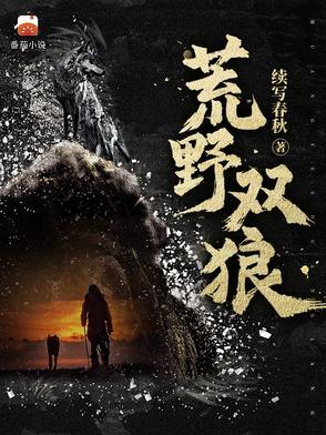 荒野双枪重制版