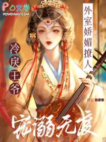 外室或宠妾的推荐