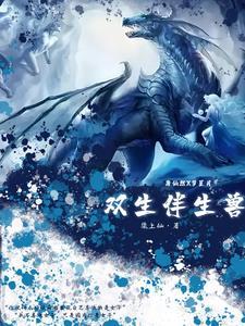 双生版是什么意思
