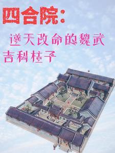 四合院开局休了娄小娥