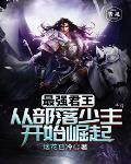 最强君主最新活动顺序