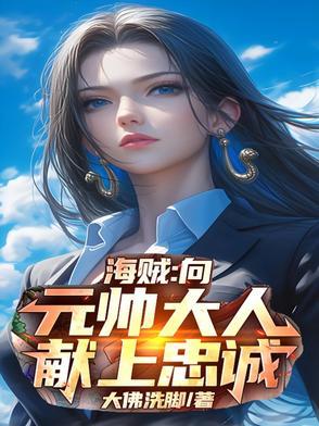 海贼海军元帅的