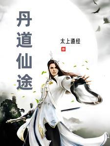 丹道仙途废纸桥TXT