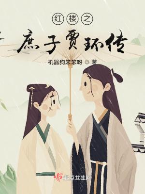 红楼之庶子贾环评论