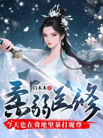 柔弱医修今天也在背地里暴打魔尊(沐风华)