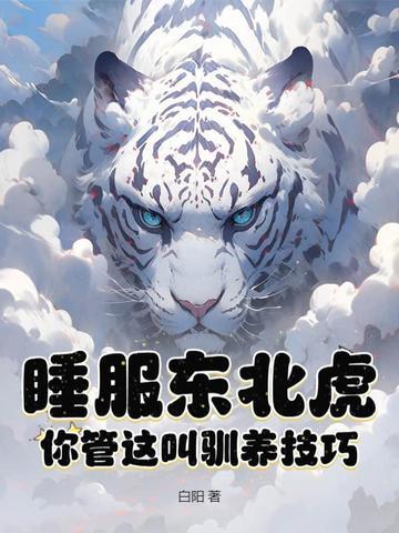 东北虎晚上睡哪