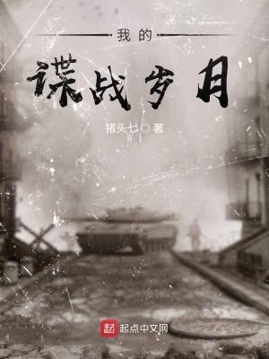 我的谍战岁月猪头七著