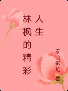 主人公林枫是什么