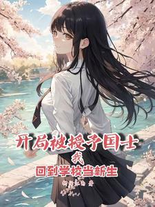 开局国士的身份