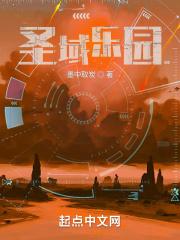 圣域1游戏攻略