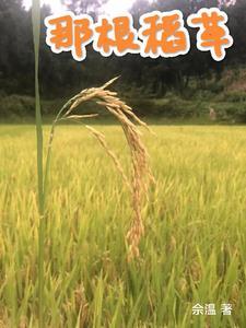 那根稻草手机版安装