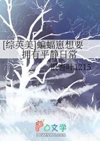 关于综英美蝙蝠崽推荐文