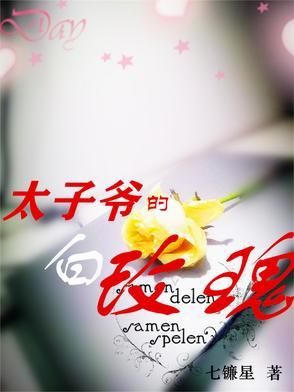 太子爷的爱妻