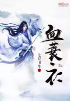 血蓑衣武功排行