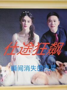仕途绯闻