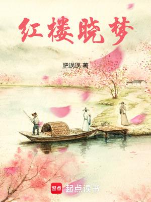 红楼什么梦