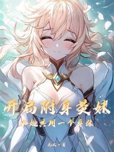 提瓦特大陆见闻录