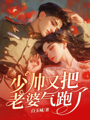 少帅你老婆又跑了说的是什么