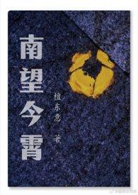 南望