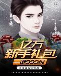 亿万新手礼包一键999级多少钱