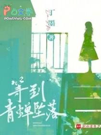 等到青蝉坠落无弹窗免费阅读